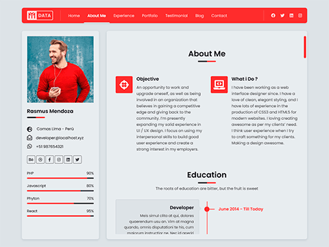 Construction template