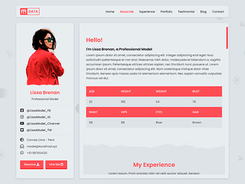 model resume template